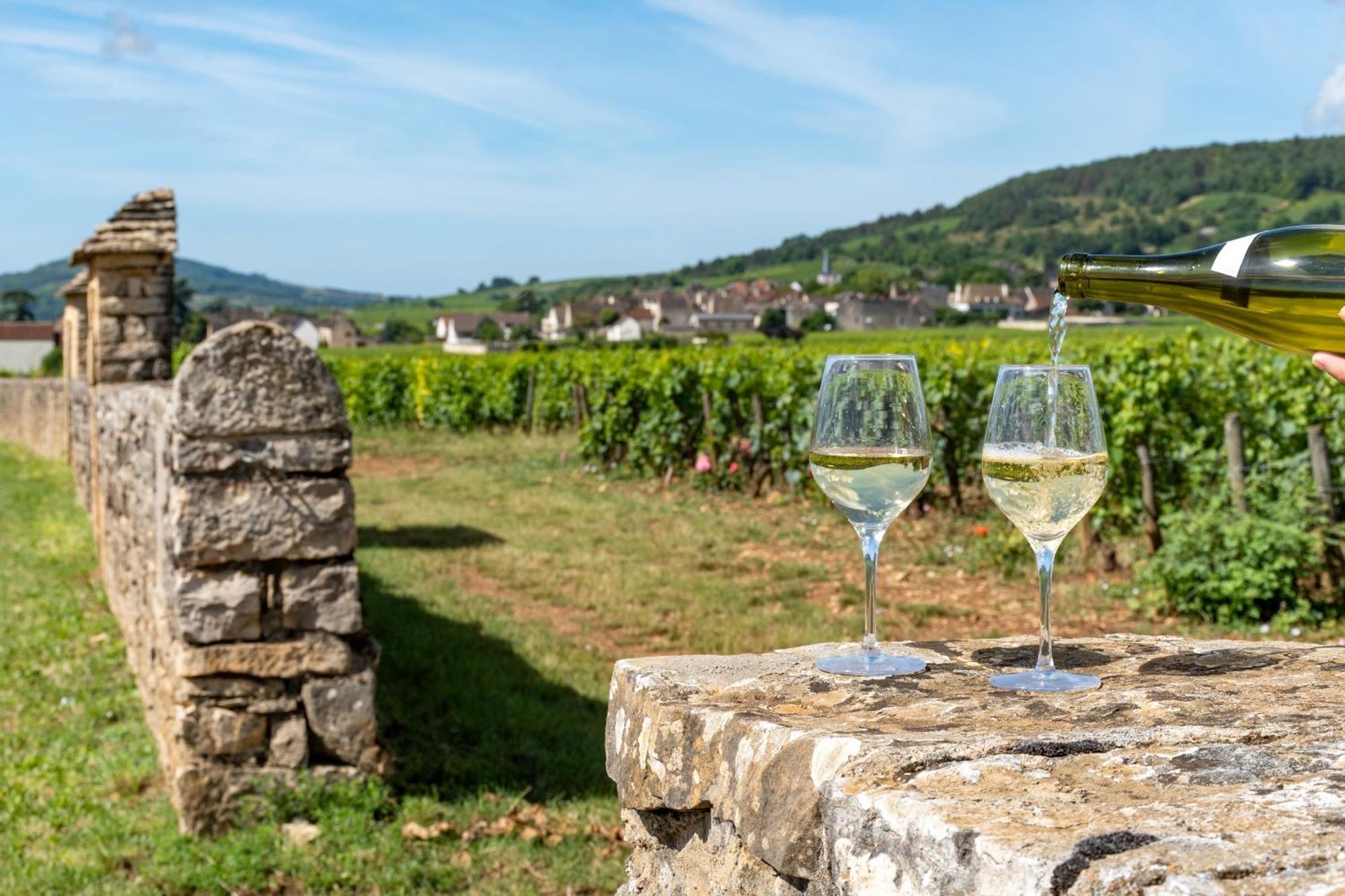 Charmante Maison Climatisee Avec Son Jardin A 10 Minutes De Dijon